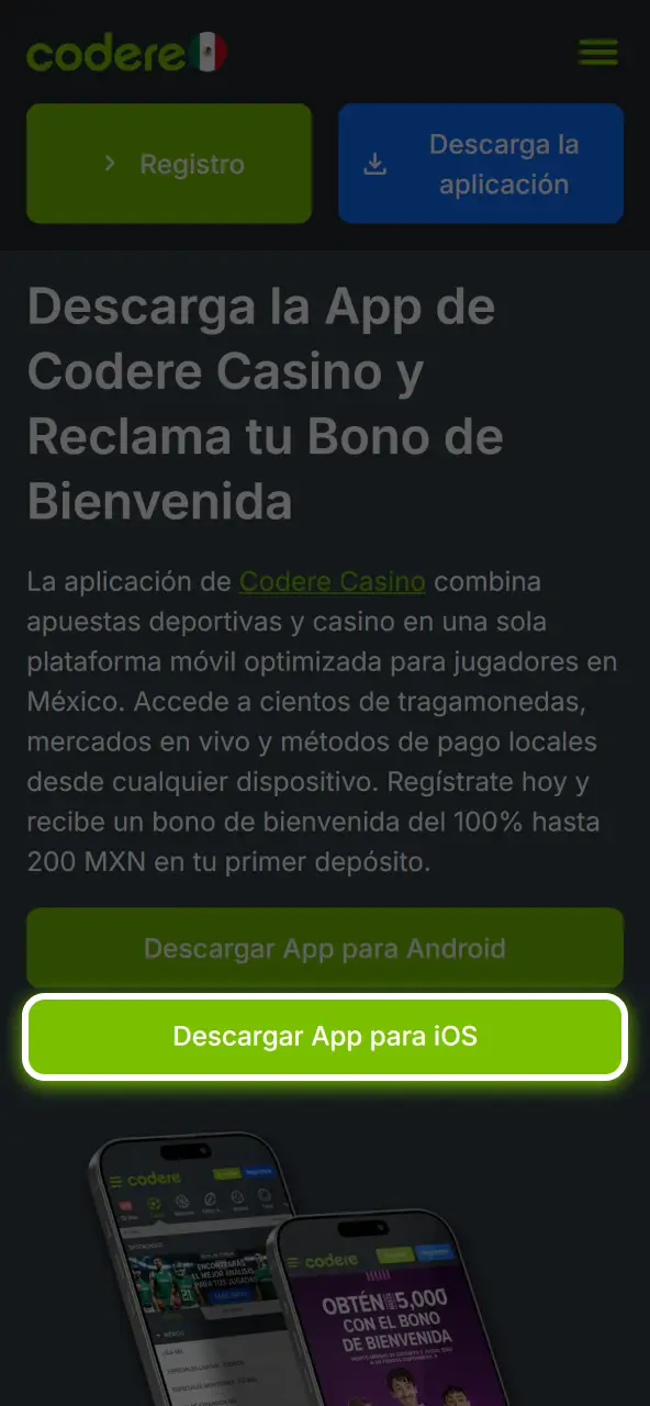 Haz clic y presiona el botón de descarga para iOS para iniciar la instalación de la aplicación.